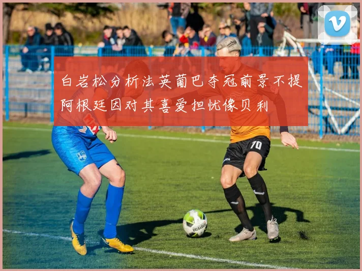 白岩松分析法英葡巴夺冠前景不提阿根廷因对其喜爱担忧像贝利