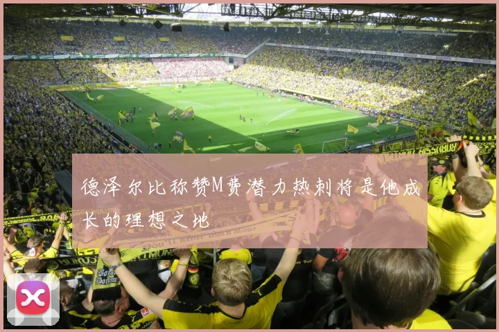 德泽尔比称赞M费潜力热刺将是他成长的理想之地